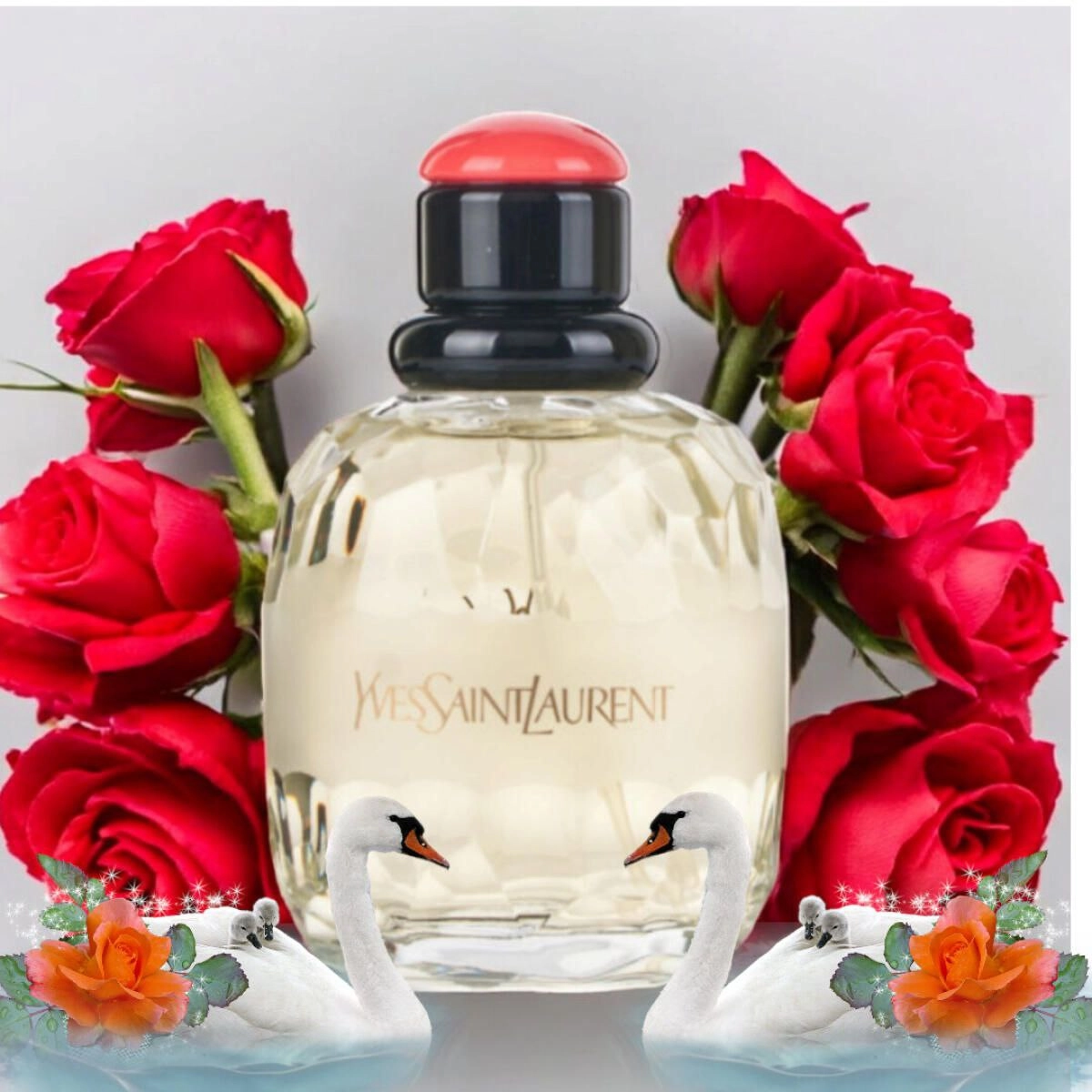 ‌عطر ادکلن ایو سن لورن پاریس ۱۲۵میل مناسب برای بانوان با طبع خنک و شیرین